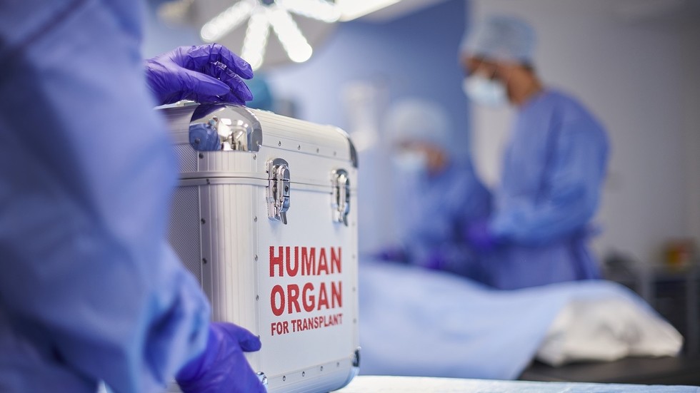 Ex-Ukrainian deputy minister suspected in organ-harvesting scheme – media