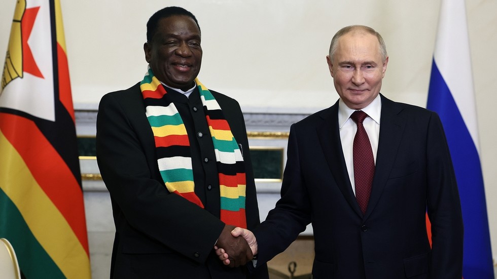 Putin holds talks with leader of sanctioned African state — RT Africa