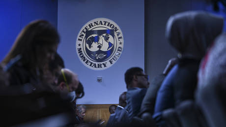 FILE PHOTO: International Monetary Fund (IMF) logo is seen in Washington DC, United States.