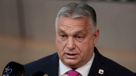 FILE PHOTO: Hungarian Prime Minister Viktor Orban.