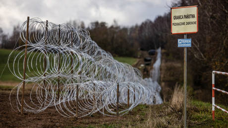 FILE PHOTO. Concertina wire fence on the border between Zerdziny in Poland and Kaliningrad Region in Russia, November 3, 2022.
