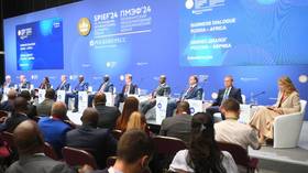 SPIEF 2024: Russia-Africa mutual trade on the rise – deputy minister