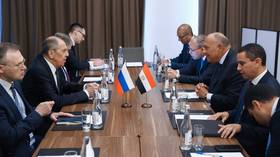 Moscow and Cairo highlight growing role of BRICS