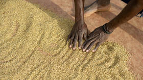 Russian grain exporters focusing on North African markets