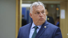 Brussels ignoring will of voters – Orban