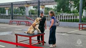 Service dogs show off skills at Russia EXPO