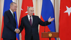 Erdogan to hold talks with Putin – Turkish FM