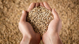 NATO state announces plans to stockpile grain