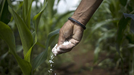 A farmer fertilizes a crop on a farm in India.