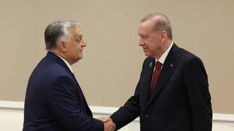 Hungarian Prime Minister Viktor Orban and Turkish President Recep Tayyip Erdogan