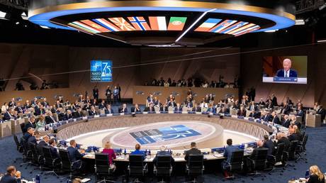 The NATO 75th anniversary summit in Washington, DC, July 10, 2024.