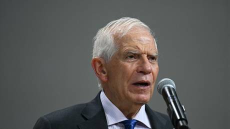 EU foreign policy chief Josep Borrell speaks to the press during the NATO summit in Washington on July 11, 2024.