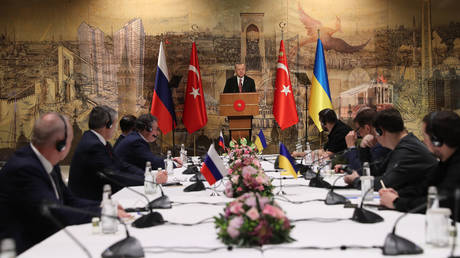FILE PHOTO: Turkish President Recep Tayyip Erdogan meets with Russian and Ukrainian delegations before peace talks in Istanbul on March 29, 2022.