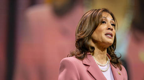 FILE PHOTO. Vice President Kamala Harris speaks to members of the Alpha Kappa Alpha Sorority at the Kay Bailey Hutchison Convention Center on July 10, 2024 in Dallas, Texas.