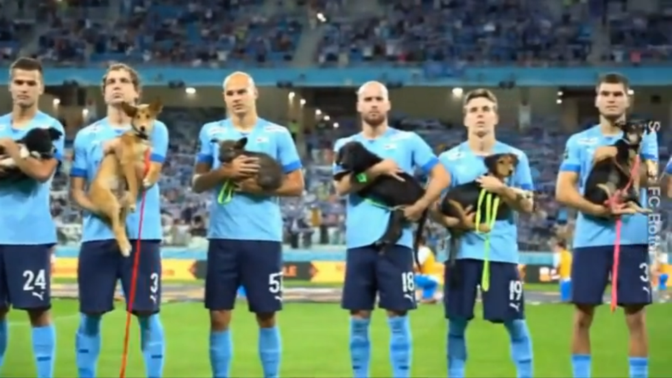 Jogadores de futebol russos entram em campo com cães sem-teto (VÍDEOS)