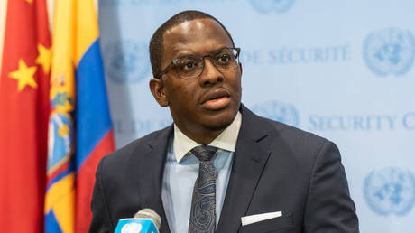 UN Security Council to discuss African representation