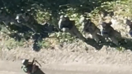 A screenshot from a video purportedly showing Ukrainian soldiers that have surrendered in Kursk Region, Russia.