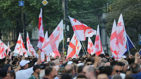 FILE PHOTO. Pro-government rally in Tbilisi, Georgia