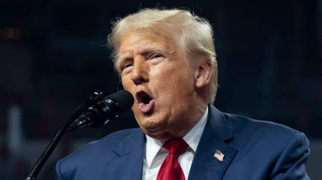 Donald Trump speaks during a campaign rally in Glendale, Arizona, August 23, 2024