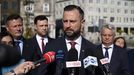 Deputy PM Says Poland Can't Spare More Weapons for Ukraine