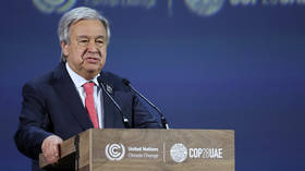 UN chief calls for permanent Security Council seat for Africa