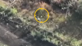 Russian soldier smashes Ukrainian drone with rifle butt (VIDEO)