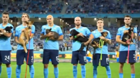 Russian footballers take field with homeless dogs (VIDEOS)