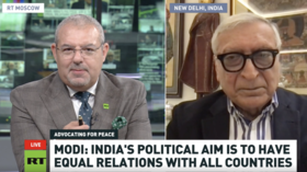 India ‘playing its own game’ – ex-diplomat on Modi’s Ukraine visit 