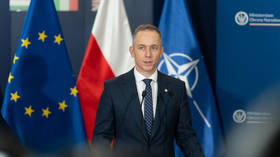 Poland in ‘state of hybrid war’ – deputy defense chief