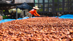 Russia to buy cocoa beans directly from African state