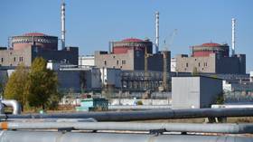 Ukraine blackmailing nuclear plant staff – senior Russian diplomat