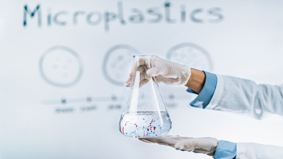 Microplastics found in human brain – research