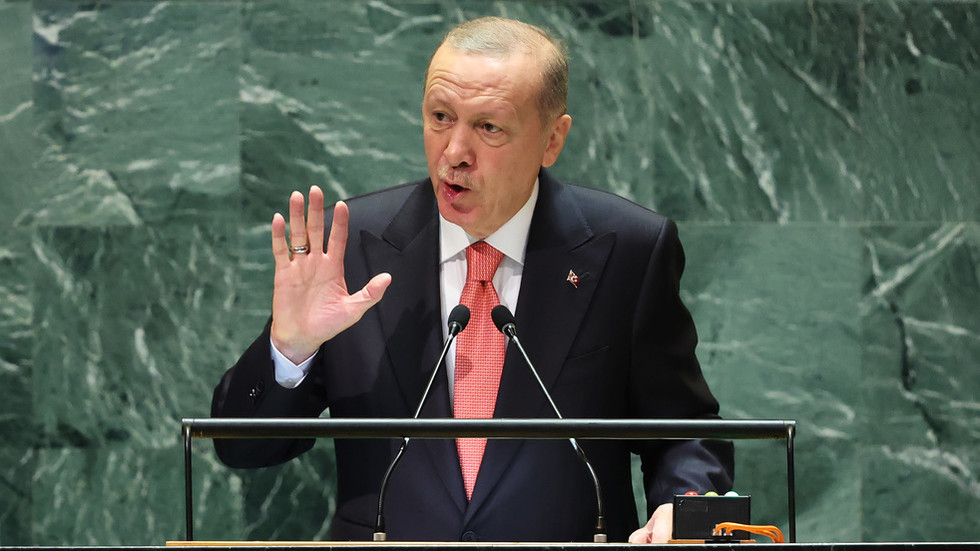 https://www.rt.com/information/604699-ukraine-nato-erdogan-us/US doesn’t need Ukraine in NATO – Erdogan