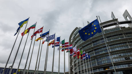 FILE PHOTO: The flags of the European Union are flying in front of the European Parliament building.