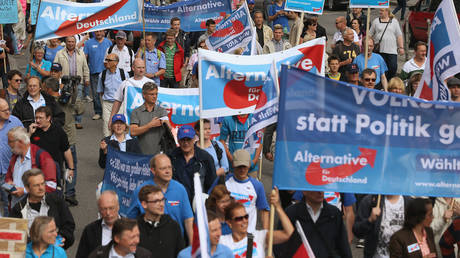  Supporters of the far-right Alternative for Germany (AfD) party march in Hamburg, Germany.