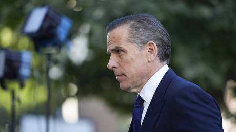 Hunter Biden pleads guilty to tax evasion