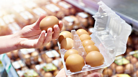 EU Country Advocates for Prohibition on Ukrainian Eggs