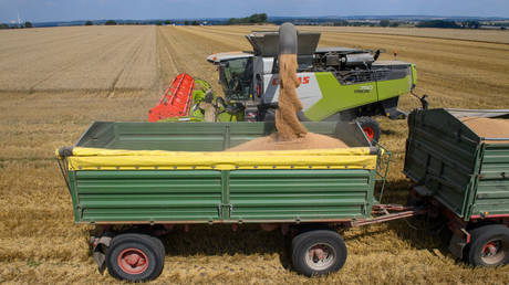 German farmers face challenges due to Ukrainian grain imports – Bild