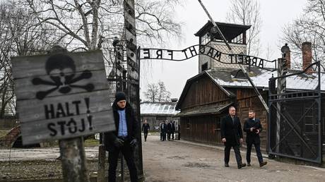 Serbian president labels banning Russia from Auschwitz ceremony as ‘perverted’