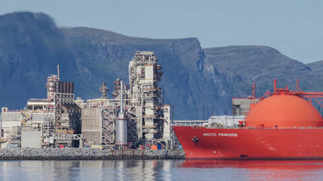 FILE PHOTO: The LNG tanker 'Arctic Princess' is moored at the terminal near the port of Hammerfest.