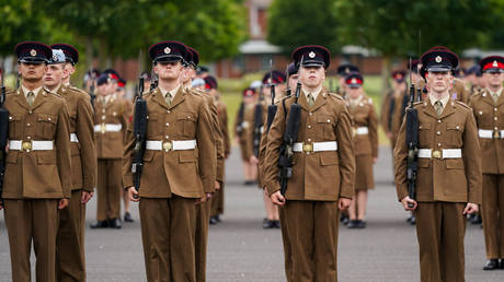 British Army's size is insufficient, according to report