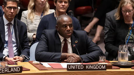 UK Foreign Secretary David Lammy speaks at the UN Security Council, September 22, 2024.