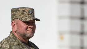 Aide to former top Ukrainian general killed in Russian strike