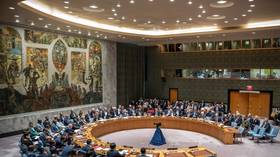 UN Security Council leaders’ meeting ‘unrealistic’ – Kremlin