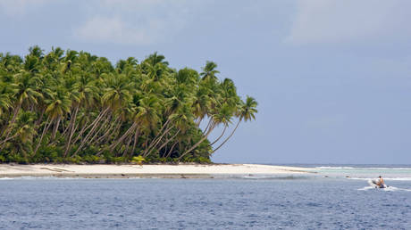  Coconut palms on the Indian Ocean shore, Chagos Archipelago.