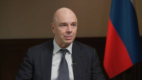 BRICS working on own payment system &ndash; Russian finance minister
