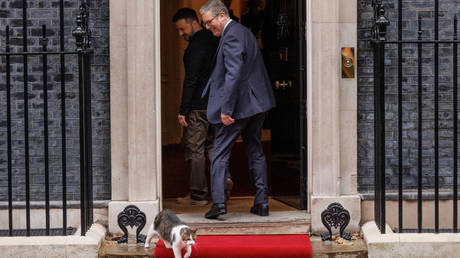 British Prime Minister Keir Starmer and Ukrainian leader Vladimir Zelensky watch Larry the Cat walk on the red carpet at Downing Street on October 10, 2024 in London, UK