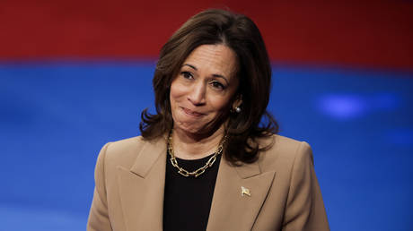  US Vice President and Democratic presidential candidate Kamala Harris