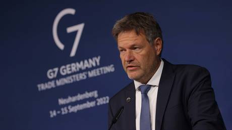 FILE PHOTO: German Minister for Economic Affairs and Climate Action Robert Habeck.