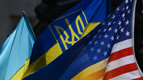 U.S. NATO Representative Reacts to Zelensky's Call for Immediate Membership Invitation